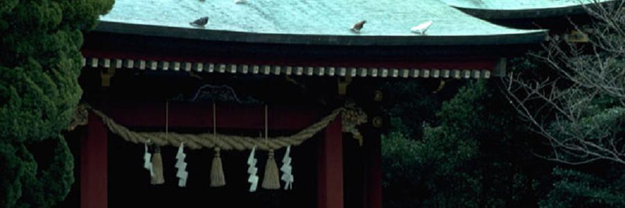 ���É��s�̐����ɂ��鎛�@�ɂ��āA�ڂ����������T�C�g�w���É��s�����̎��@�x